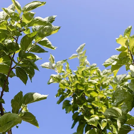 アパート Chioureas